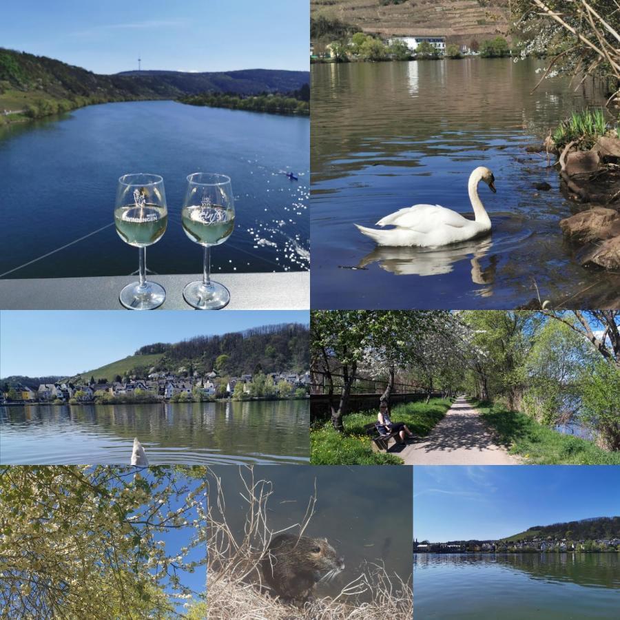 월데쉬 Auszeit Rhein-Mosel 아파트 외부 사진