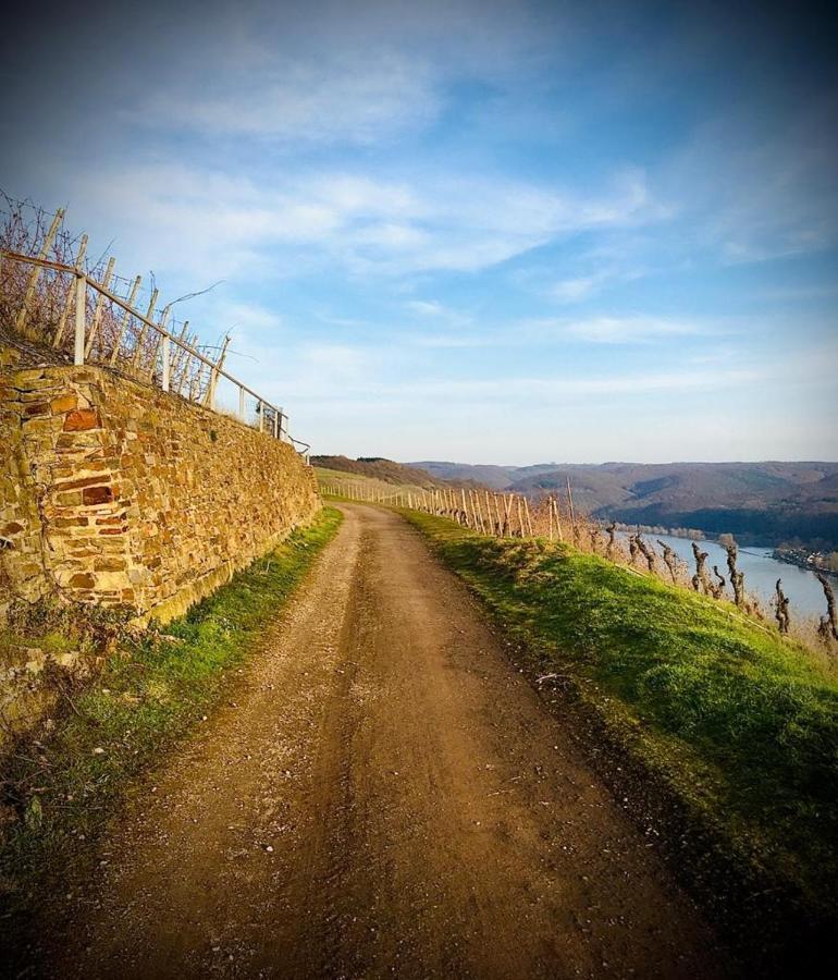 월데쉬 Auszeit Rhein-Mosel 아파트 외부 사진